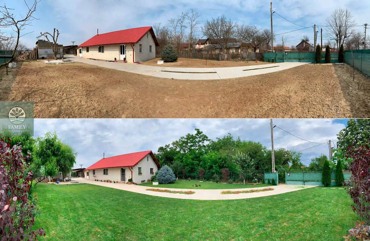 after before lucrare.jpg